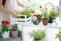 ���i�C���[�W